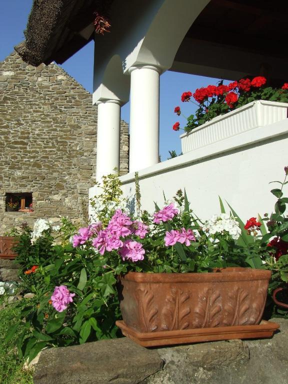 Hotel Csátó Vendégház Tihany Exterior foto